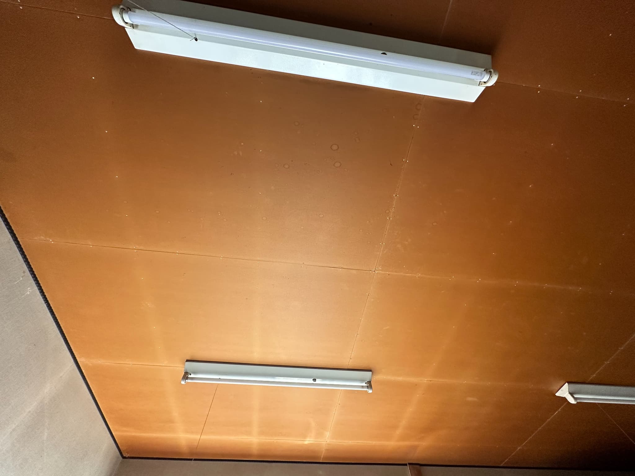 https://maruei-kaitai.com