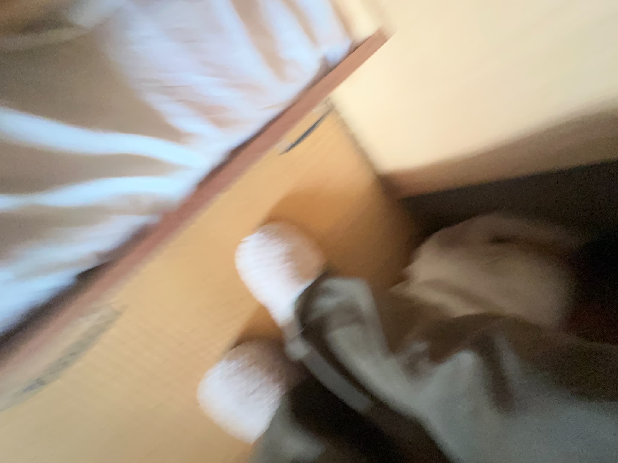 https://maruei-kaitai.com