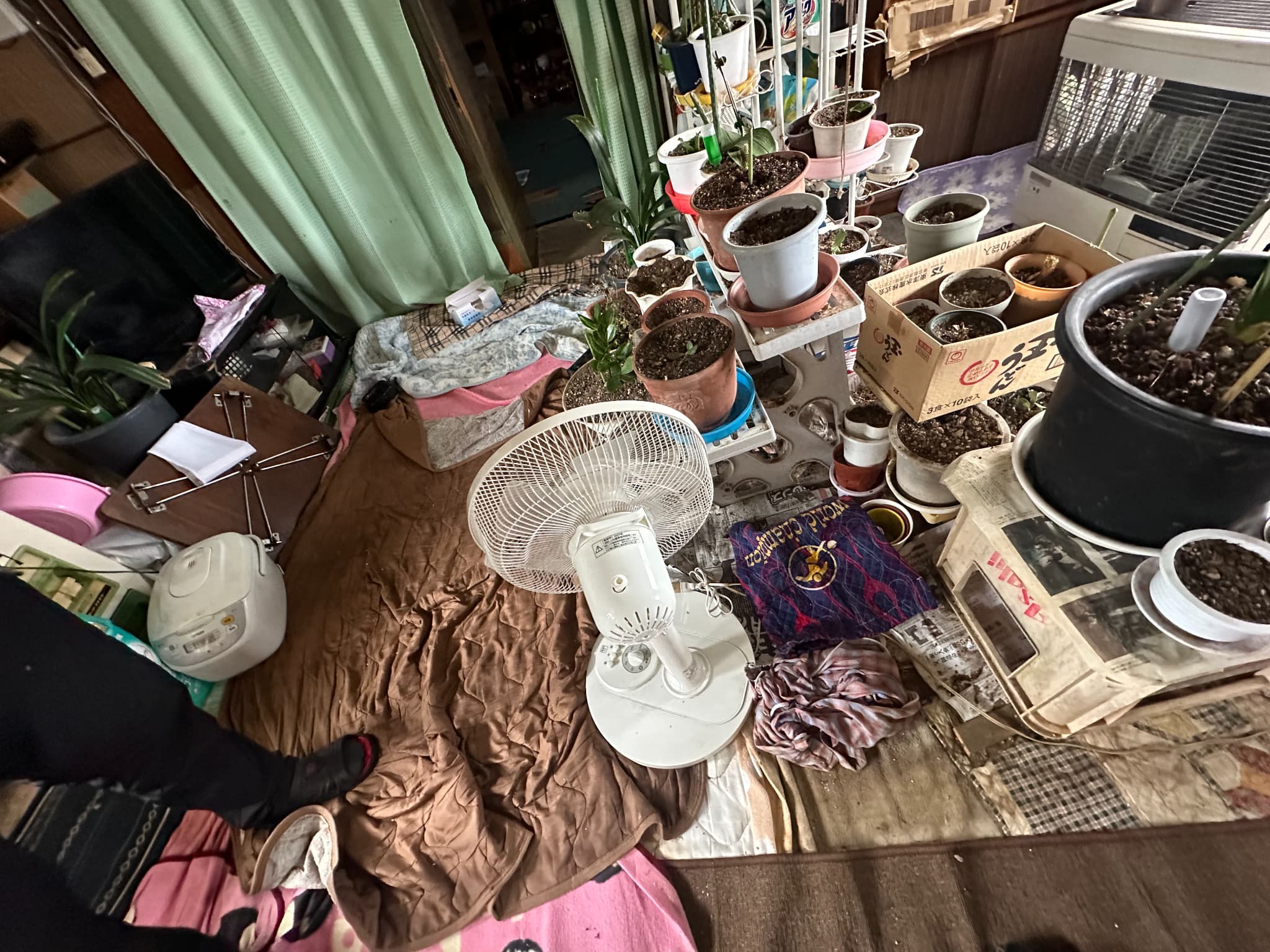 https://maruei-kaitai.com