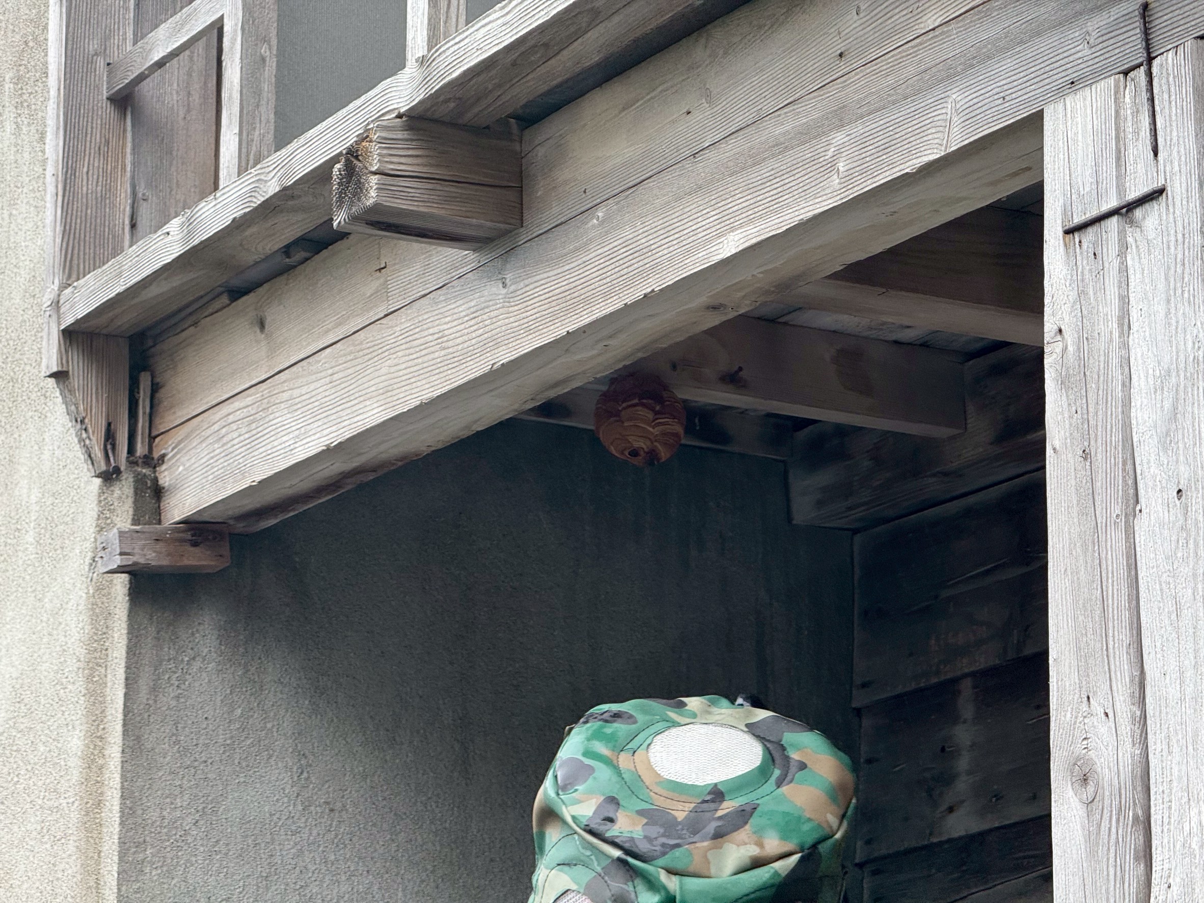 https://maruei-kaitai.com